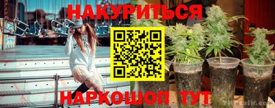 каннабис Волжский
