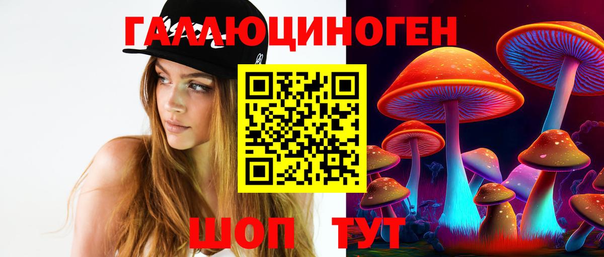 Гай  Галлюциногенные грибы мицелий  Вход с VPN 